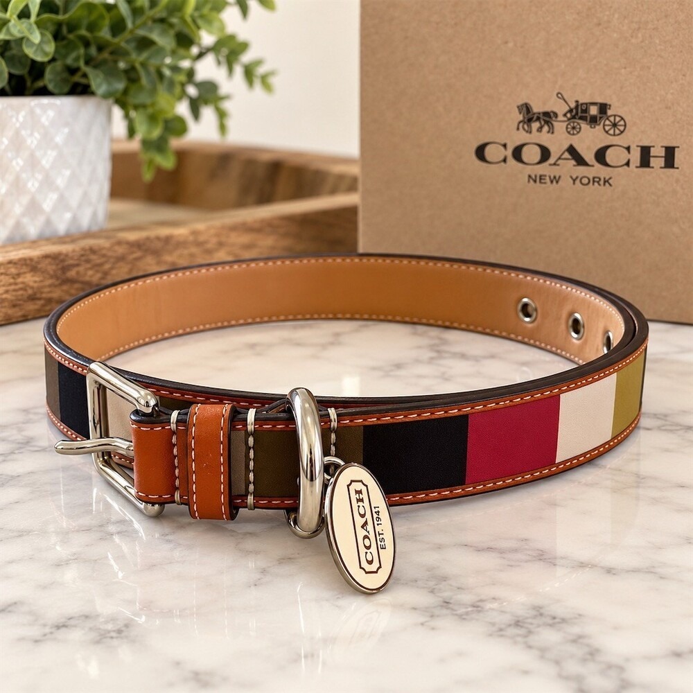 Rare Coach Legacy Satin Color Block Y2K Dog Collar XL Style 60088